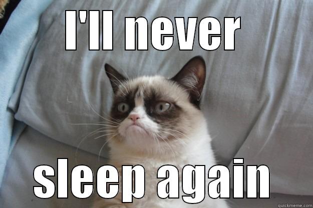 I'LL NEVER SLEEP AGAIN Grumpy Cat