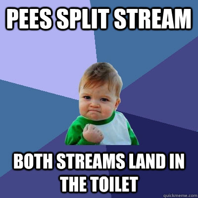 Pees split stream both streams land in the toilet  Success Kid