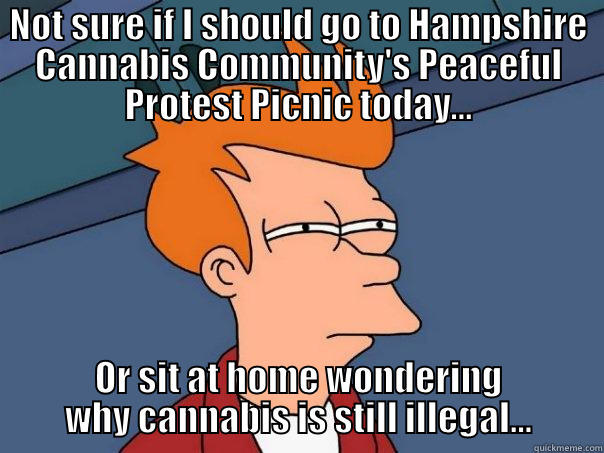 NOT SURE IF I SHOULD GO TO HAMPSHIRE CANNABIS COMMUNITY'S PEACEFUL PROTEST PICNIC TODAY... OR SIT AT HOME WONDERING WHY CANNABIS IS STILL ILLEGAL... Futurama Fry