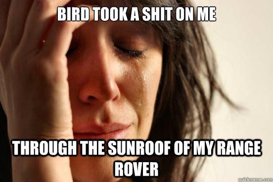 Bird took a shit on me Through the sunroof of my Range Rover  First World Problems