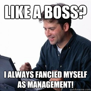 Like a Boss? I always fancied myself as management!  Lonely Computer Guy