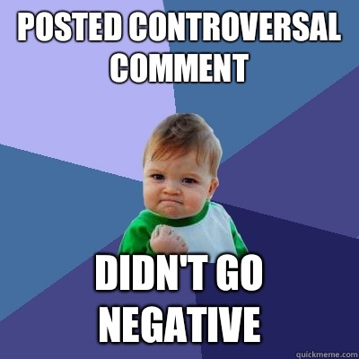 Posted controversal comment didn't go negative  Success Kid