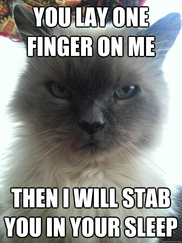 You lay one finger on me Then i will stab you in your sleep  