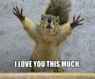 I love you this much.
  - I love you this much.
   Desperate Squirrel