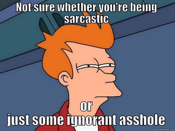 Curious Fry - NOT SURE WHETHER YOU'RE BEING SARCASTIC OR JUST SOME IGNORANT ASSHOLE Futurama Fry