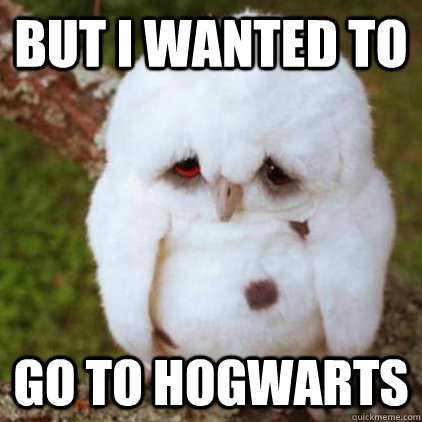 But I wanted to go to Hogwarts - But I wanted to go to Hogwarts  Emo Owl