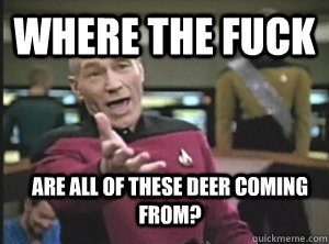 Where the fuck are all of these deer coming from?  Annoyed Picard