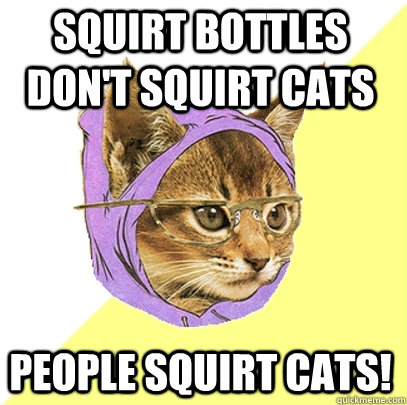 Squirt bottles don't squirt cats People squirt cats!  Hipster Kitty