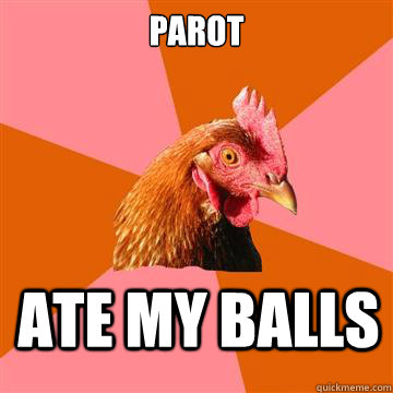 parot ate my balls  Anti-Joke Chicken