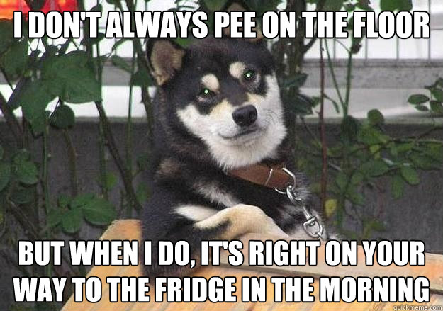 I don't always pee on the floor but when i do, it's right on your way to the fridge in the morning  Dog equis