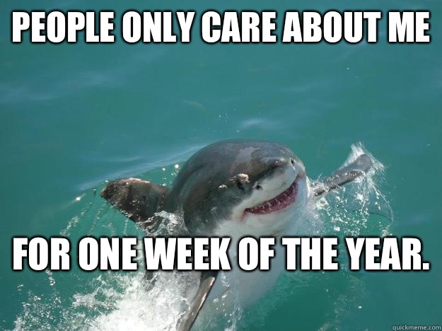 People only care about me For one week of the year.  - People only care about me For one week of the year.   Misunderstood Shark