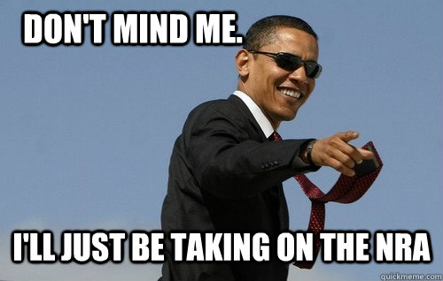 Don't mind me.  I'll just be taking on the NRA  Obamas Holding