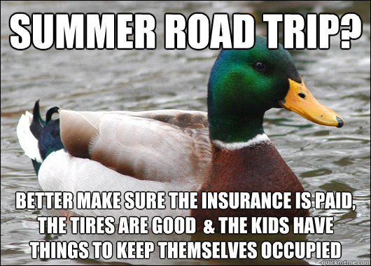 summer road trip? better make sure the insurance is paid, the tires are good  & the kids have things to keep themselves occupied  Actual Advice Mallard