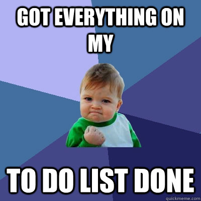 got everything on my to do list done  Success Kid