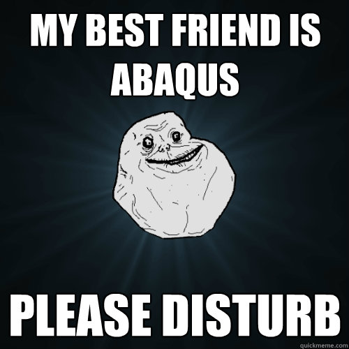 my best friend is abaqus please disturb  Forever Alone