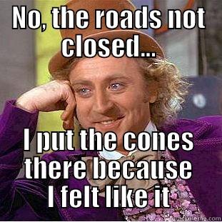 NO, THE ROADS NOT CLOSED... I PUT THE CONES THERE BECAUSE I FELT LIKE IT Condescending Wonka