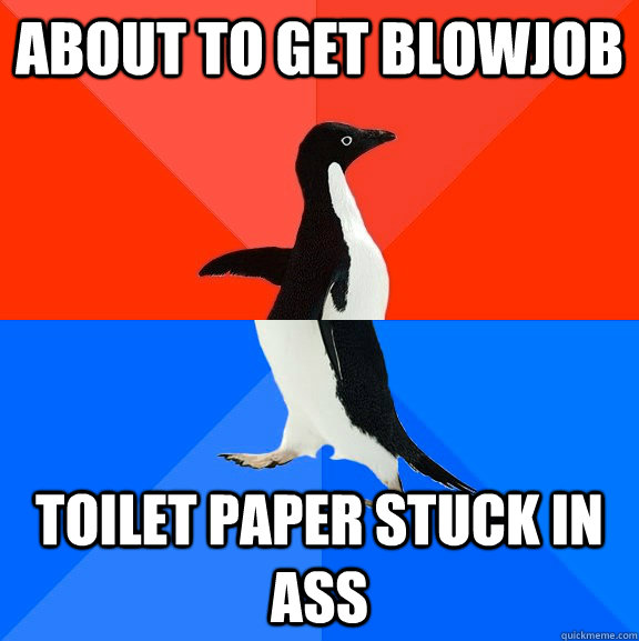 About to get blowjob toilet paper stuck in ass - About to get blowjob toilet paper stuck in ass  Socially Awesome Awkward Penguin