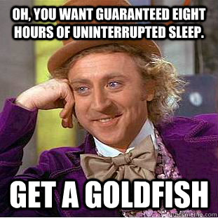 Oh, you want guaranteed eight hours of uninterrupted sleep. get a goldfish  Creepy Wonka