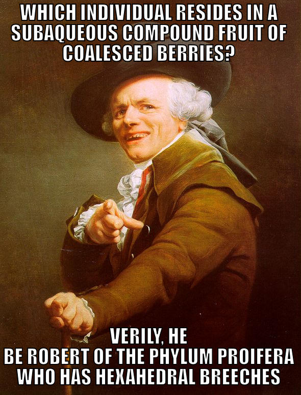 WHICH INDIVIDUAL RESIDES IN A SUBAQUEOUS COMPOUND FRUIT OF COALESCED BERRIES? VERILY, HE BE ROBERT OF THE PHYLUM PROIFERA WHO HAS HEXAHEDRAL BREECHES Joseph Ducreux