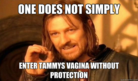 One Does Not Simply Enter tammys vagina without protection  Boromir