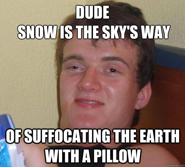 Dude
 Snow is the sky's way Of suffocating the earth with a pillow  10 Guy