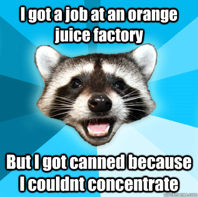 I got a job at an orange juice factory But I got canned because I couldnt concentrate  Lame Pun Coon