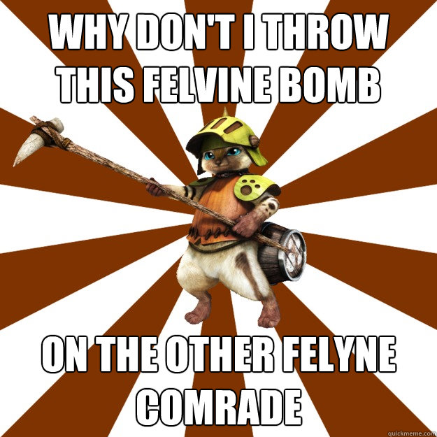 Why don't I throw this felvine bomb on the other felyne comrade  Felyne comrade