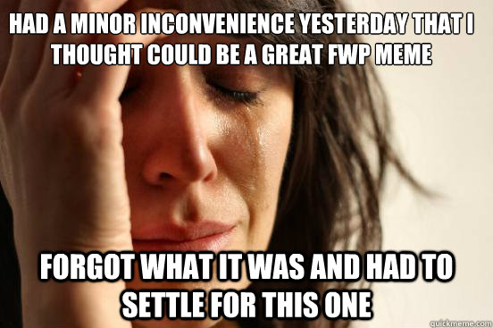 Had a minor inconvenience yesterday that I thought could be a great FWP meme forgot what it was and had to settle for this one  First World Problems