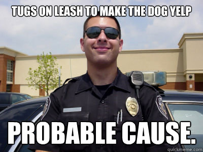 TUGS ON LEASH TO MAKE THE DOG YELP PROBABLE CAUSE. - TUGS ON LEASH TO MAKE THE DOG YELP PROBABLE CAUSE.  Misc