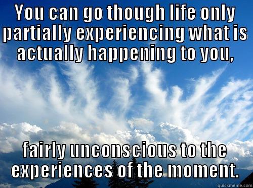 YOU CAN GO THOUGH LIFE ONLY PARTIALLY EXPERIENCING WHAT IS ACTUALLY HAPPENING TO YOU, FAIRLY UNCONSCIOUS TO THE EXPERIENCES OF THE MOMENT. Misc