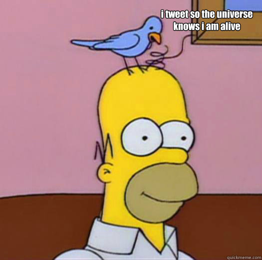 i tweet so the universe knows i am alive  Bird grooming Homer