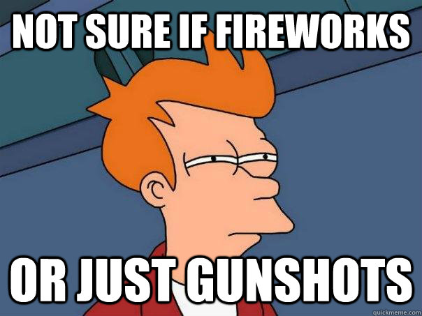 Not sure if fireworks Or just gunshots  Futurama Fry