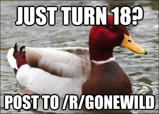 Just turn 18? Post to /r/gonewild  Malicious Advice Mallard