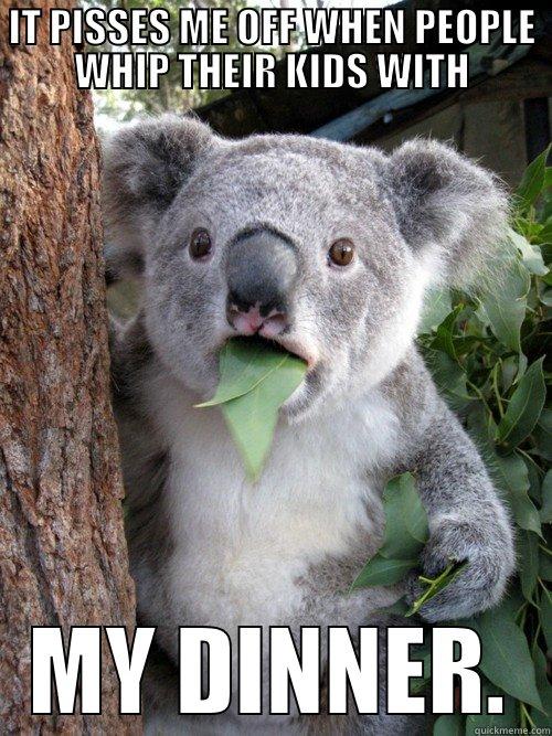 IT PISSES ME OFF WHEN PEOPLE WHIP THEIR KIDS WITH MY DINNER. koala bear