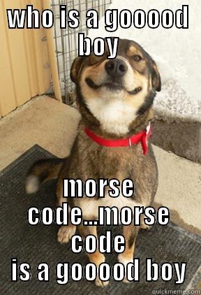 WHO IS A GOOOOD BOY MORSE CODE...MORSE CODE IS A GOOOOD BOY Good Dog Greg