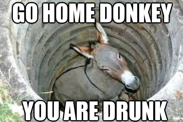 go home donkey you are drunk  