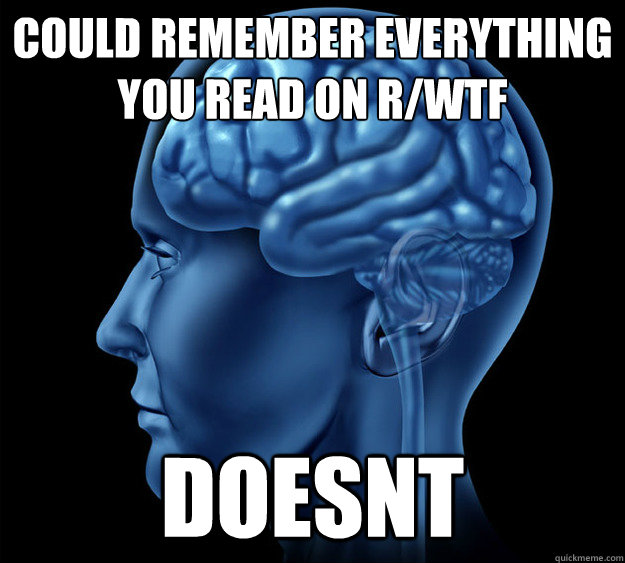 Could Remember everything you read on r/wtf
 doesnt - Could Remember everything you read on r/wtf
 doesnt  Good Guy Brain