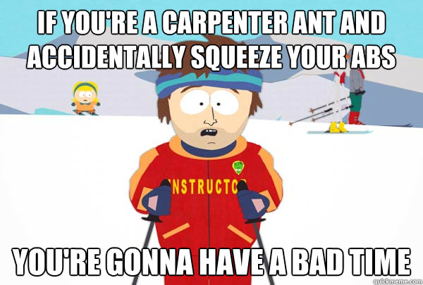 If you're a Carpenter ant and accidentally squeeze your abs You're gonna have a bad time  Super Cool Ski Instructor