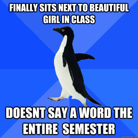 Finally sits next to beautiful girl in class Doesnt say a word the entire  semester  Socially Awkward Penguin