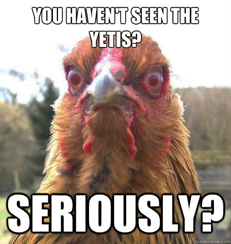 you haven't seen the yetis? seriously?  RageChicken
