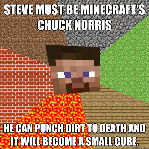 Steve must be minecraft's chuck norris he can punch dirt to death and it will become a small cube.  Minecraft