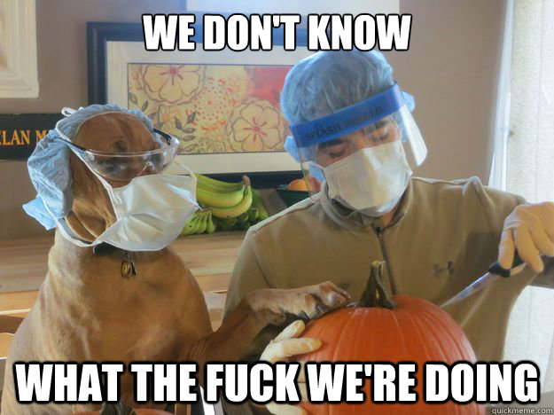 We don't know What the fuck we're doing - We don't know What the fuck we're doing  Misc
