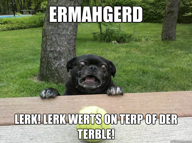 Ermahgerd lerk! lerk werts on terp of der terble!  Berks Dog