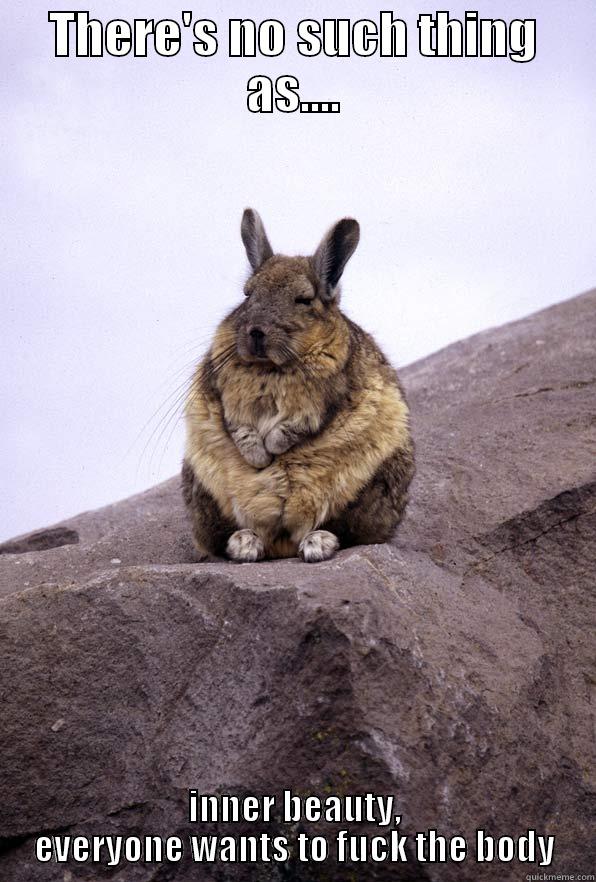 there's no such thing as.... - THERE'S NO SUCH THING AS.... INNER BEAUTY, EVERYONE WANTS TO FUCK THE BODY Wise Wondering Viscacha