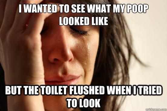 I wanted to see what my poop looked like but the toilet flushed when I tried to look   First World Problems
