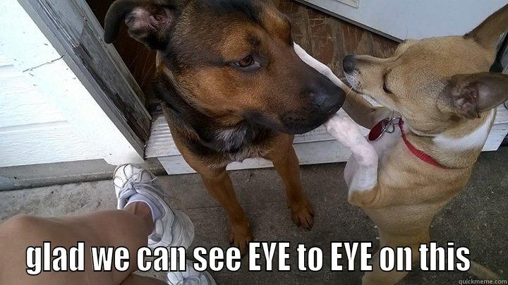  GLAD WE CAN SEE EYE TO EYE ON THIS  Misc