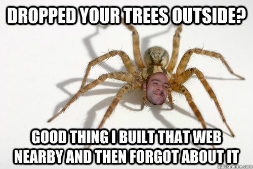 Dropped your trees outside? good thing i built that web nearby and then forgot about it  