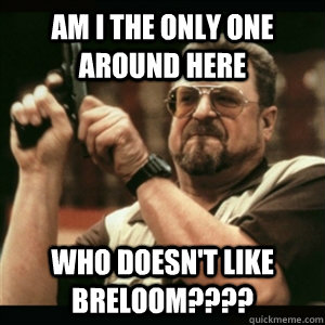 Am i the only one around here Who doesn't like Breloom????  Am I The Only One Round Here
