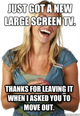 Just got a new large screen TV. Thanks for leaving it when I asked you to move out.  Friend Zone Fiona