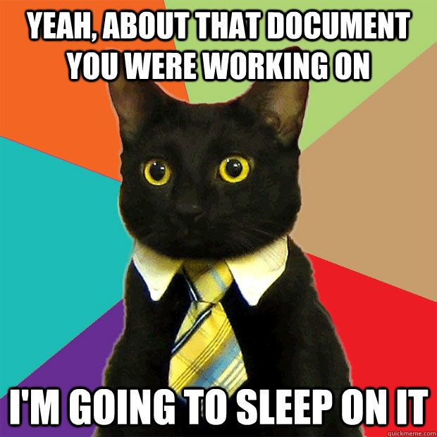 Yeah, about that document you were working on  I'm going to sleep on it  Business Cat